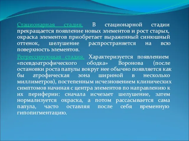 Стационарная стадия. В стационарной стадии прекращается появление новых элементов и