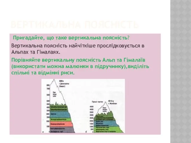 ВЕРТИКАЛЬНА ПОЯСНІСТЬ Пригадайте, що таке вертикальна поясність? Вертикальна поясність найчіткіше