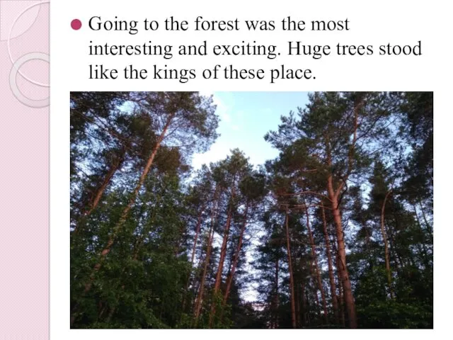 Going to the forest was the most interesting and exciting. Huge trees stood