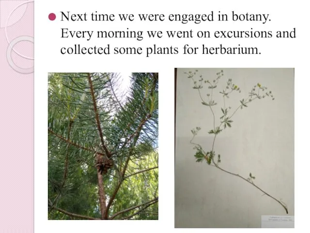 Next time we were engaged in botany. Every morning we