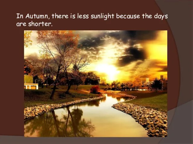 In Autumn, there is less sunlight because the days are shorter.