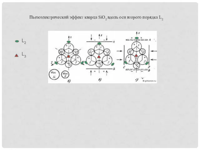 Пьезоэлектрический эффект кварца SiO2 вдоль оси второго порядка L2 L2 L3 lit-phonon.ru