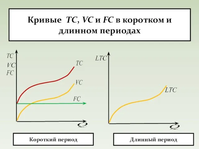 Кривые TC, VC и FC в коротком и длинном периодах Длинный период Короткий период