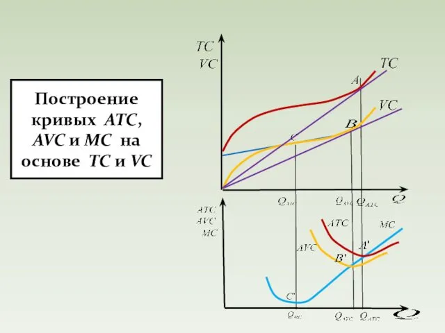 Построение кривых ATC, AVC и MC на основе TC и VC