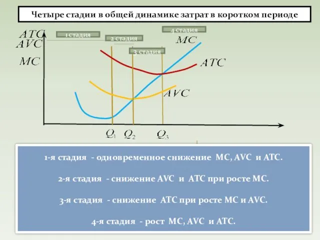 1-я стадия - одновременное снижение МС, АVC и ATC. 2-я