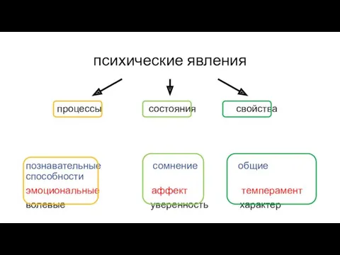 психические явления процессы состояния свойства познавательные сомнение общие способности эмоциональные аффект темперамент волевые уверенность характер