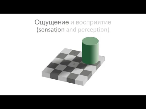 Ощущение и восприятие (sensation and perception)