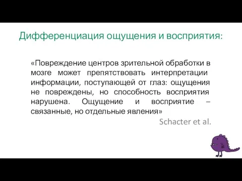 Дифференциация ощущения и восприятия: «Повреждение центров зрительной обработки в мозге