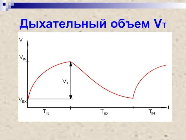 Дыхательный объем VT