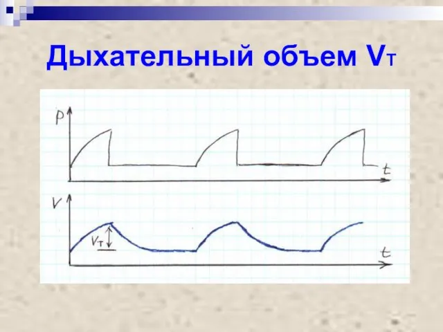 Дыхательный объем VT