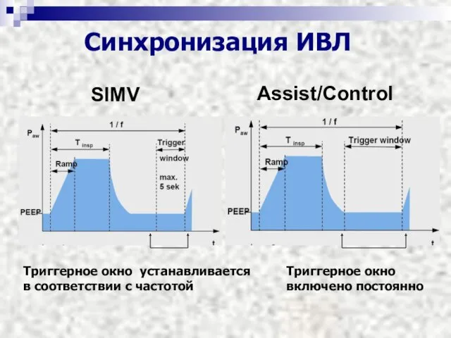 Синхронизация ИВЛ SIMV Assist/Control Триггерное окно устанавливается в соответствии с частотой Триггерное окно включено постоянно