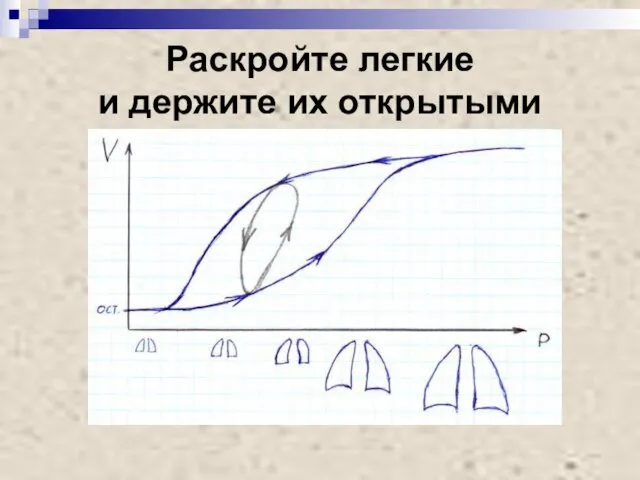 Раскройте легкие и держите их открытыми