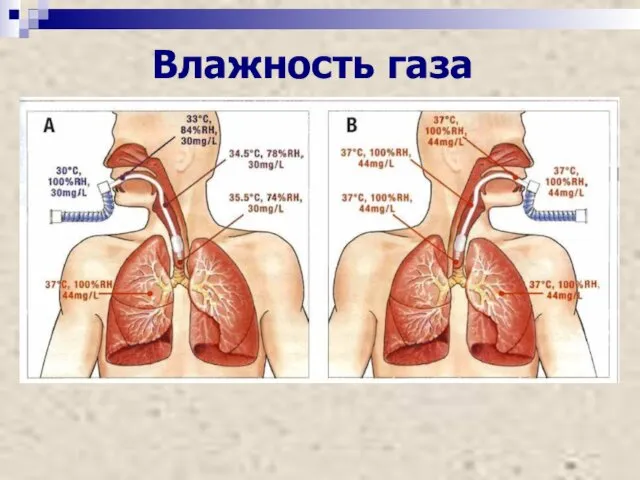 Влажность газа