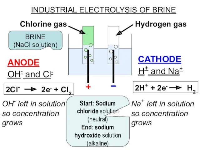 INDUSTRIAL ELECTROLYSIS OF BRINE ANODE OH- and Cl- 2Cl- 2e-