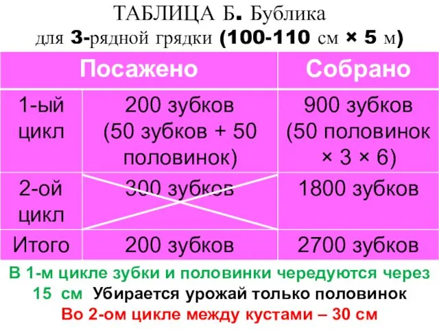 ТАБЛИЦА Б. Бублика для 3-рядной грядки (100-110 см × 5 м) В 1-м