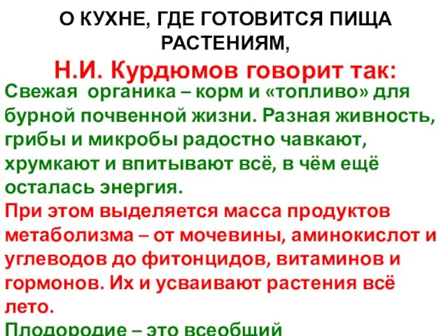 О КУХНЕ, ГДЕ ГОТОВИТСЯ ПИЩА РАСТЕНИЯМ, Н.И. Курдюмов говорит так: Свежая органика –