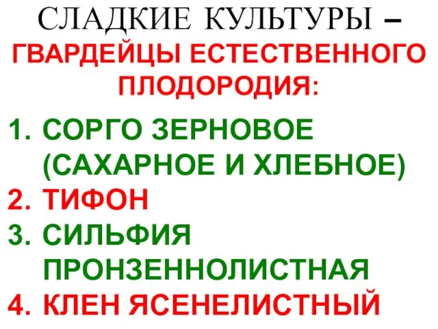 СЛАДКИЕ КУЛЬТУРЫ – ГВАРДЕЙЦЫ ЕСТЕСТВЕННОГО ПЛОДОРОДИЯ: СОРГО ЗЕРНОВОЕ (САХАРНОЕ И ХЛЕБНОЕ) ТИФОН СИЛЬФИЯ ПРОНЗЕННОЛИСТНАЯ КЛЕН ЯСЕНЕЛИСТНЫЙ