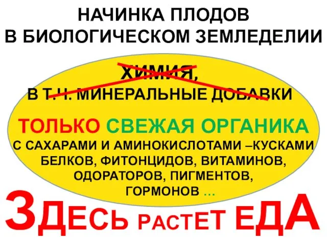 НАЧИНКА ПЛОДОВ В БИОЛОГИЧЕСКОМ ЗЕМЛЕДЕЛИИ ТОЛЬКО СВЕЖАЯ ОРГАНИКА С САХАРАМИ И АМИНОКИСЛОТАМИ –КУСКАМИ