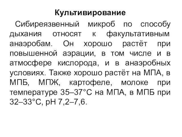 Культивирование Сибиреязвенный микроб по способу дыхания относят к факультативным анаэробам.