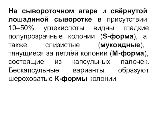 На сывороточном агаре и свёрнутой лошадиной сыворотке в присутствии 10–50%