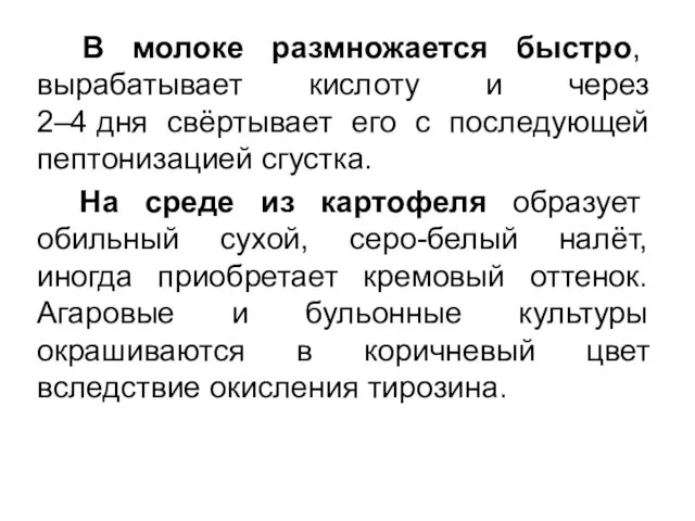 В молоке размножается быстро, вырабатывает кислоту и через 2–4 дня