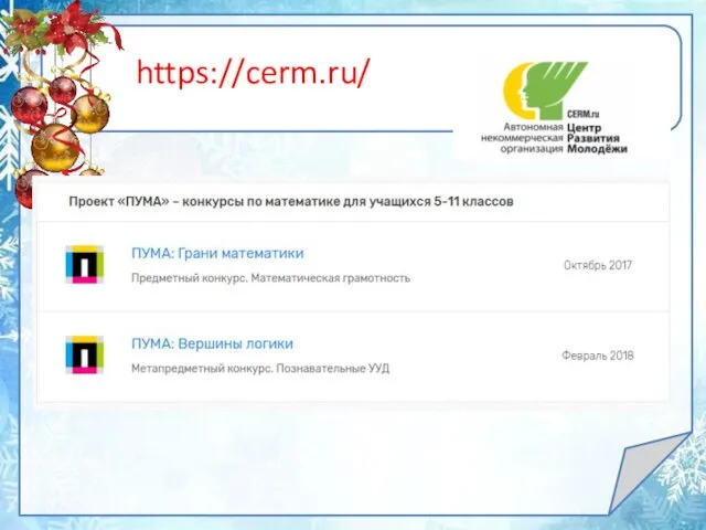 https://cerm.ru/