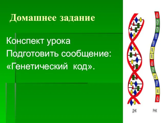 Домашнее задание Конспект урока Подготовить сообщение: «Генетический код».