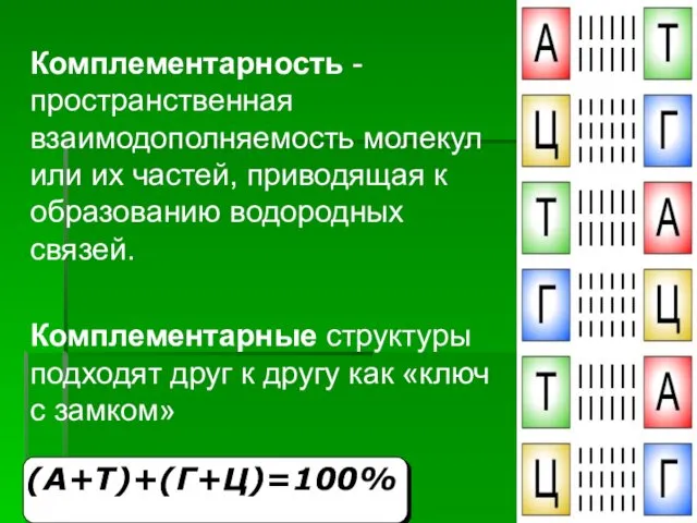 Комплементарность - пространственная взаимодополняемость молекул или их частей, приводящая к образованию водородных связей.