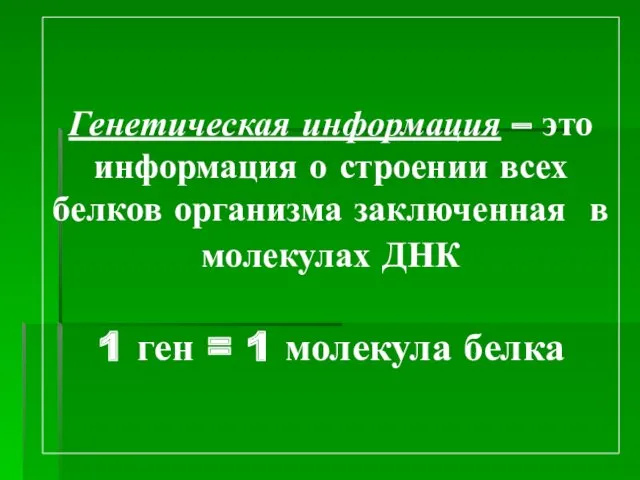 Генетическая информация – это информация о строении всех белков организма