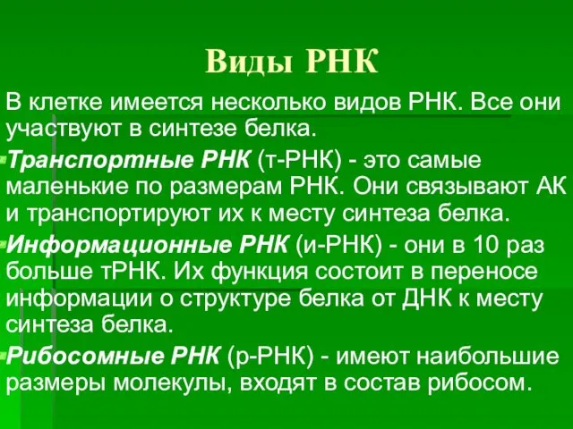 Виды РНК В клетке имеется несколько видов РНК. Все они участвуют в синтезе