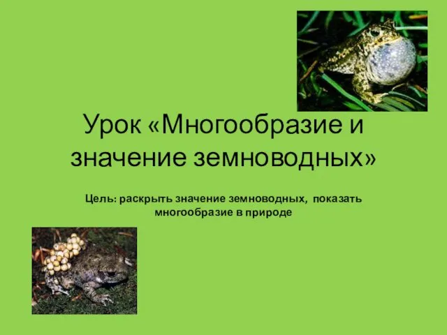 Урок «Многообразие и значение земноводных» Цель: раскрыть значение земноводных, показать многообразие в природе