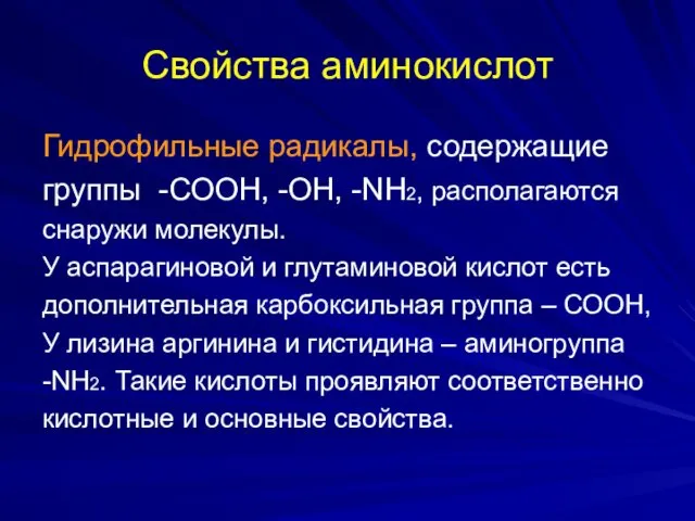 Свойства аминокислот Гидрофильные радикалы, содержащие группы -СООН, -ОН, -NH2, располагаются