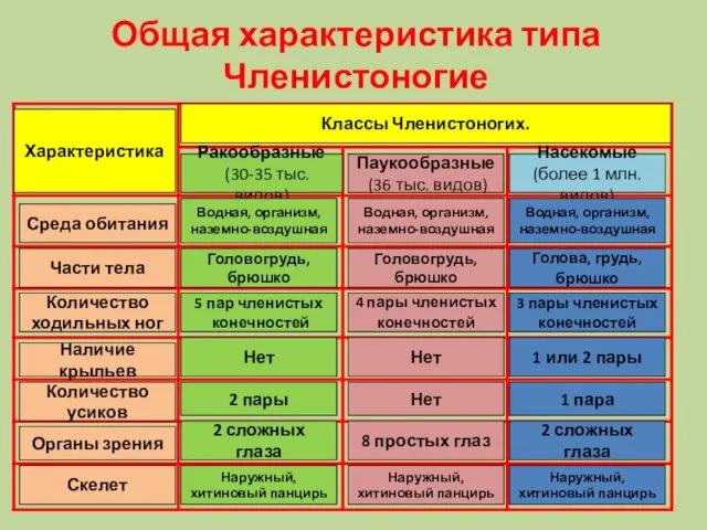 Общая характеристика типа Членистоногие Характеристика Классы Членистоногих. Ракообразные (30-35 тыс.