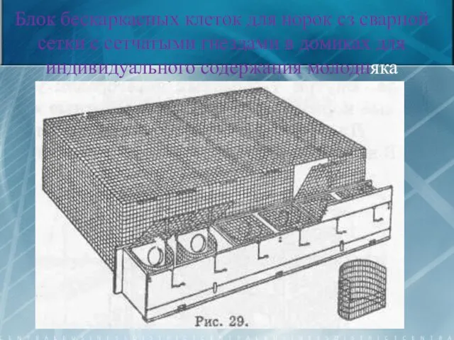 Блок бескаркасных клеток для норок сз сварной сетки с сетчатыми