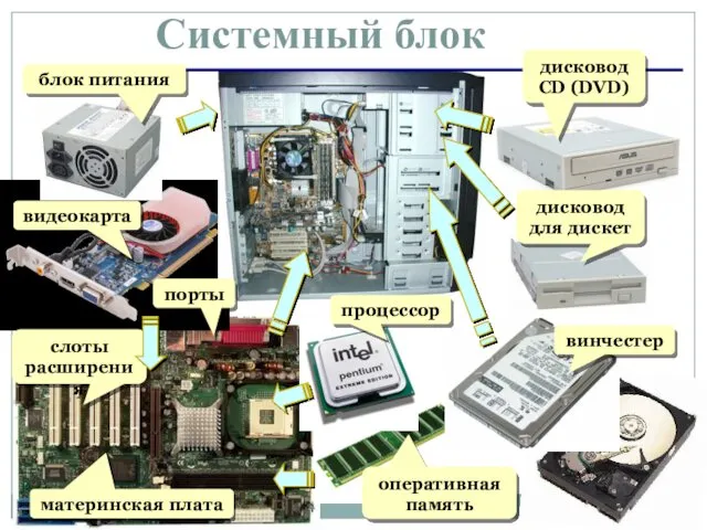 Системный блок блок питания видеокарта порты слоты расширения материнская плата