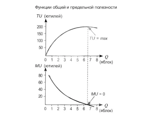 Функции общей и предельной полезности