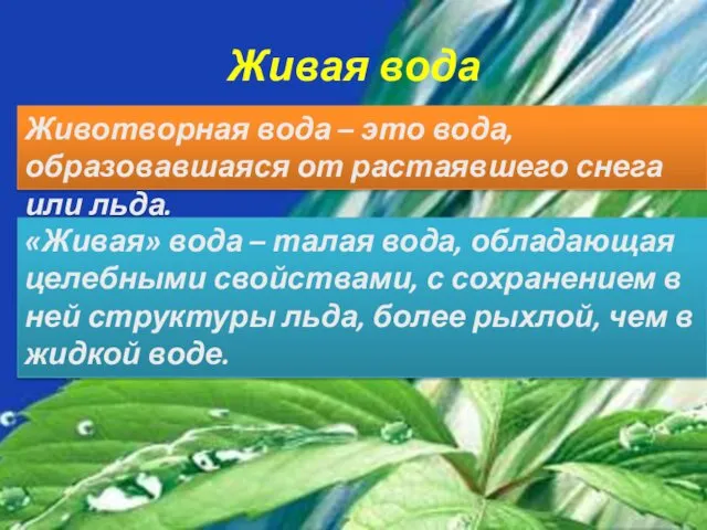 Живая вода Животворная вода – это вода, образовавшаяся от растаявшего