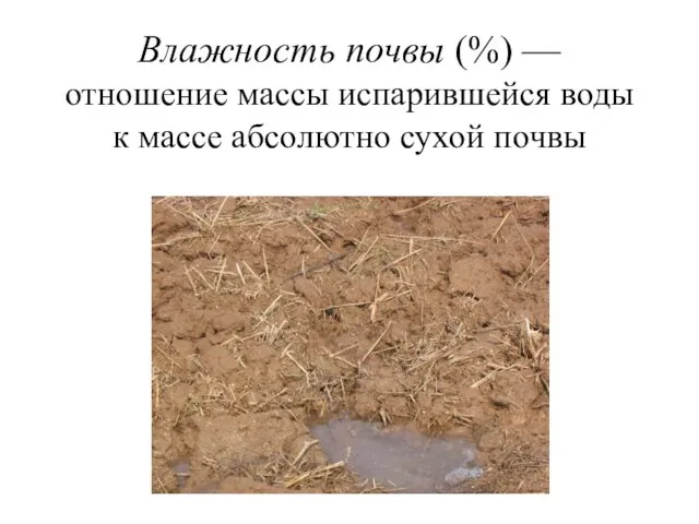 Влажность почвы (%) — отношение массы испарившейся воды к массе абсолютно сухой почвы