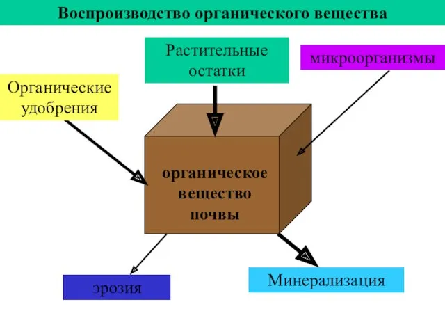 Воспроизводство органического вещества Растительные остатки органическое вещество почвы Органические удобрения микроорганизмы Минерализация эрозия