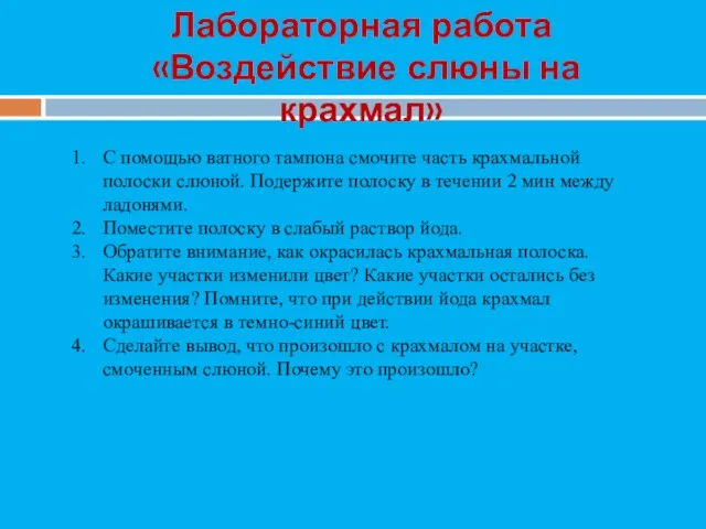 Лабораторная работа «Воздействие слюны на крахмал» С помощью ватного тампона