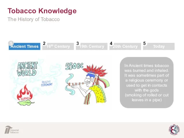 Tobacco Knowledge The History of Tobacco In Ancient times tobacco