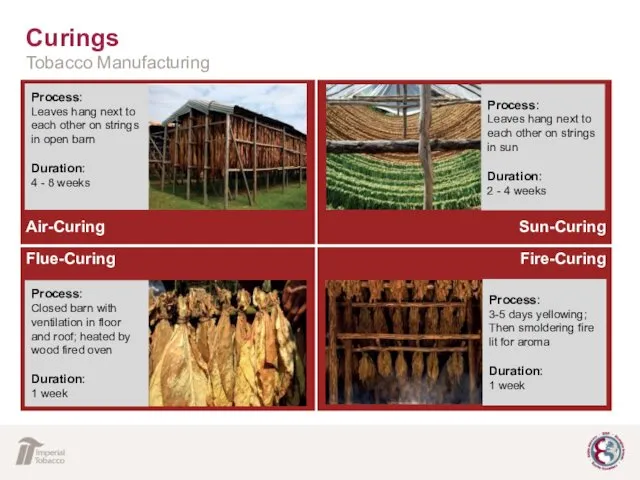 Curings Tobacco Manufacturing