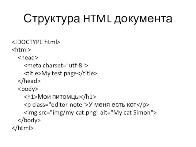 Структура HTML документа My test page Мои питомцы У меня есть кот
