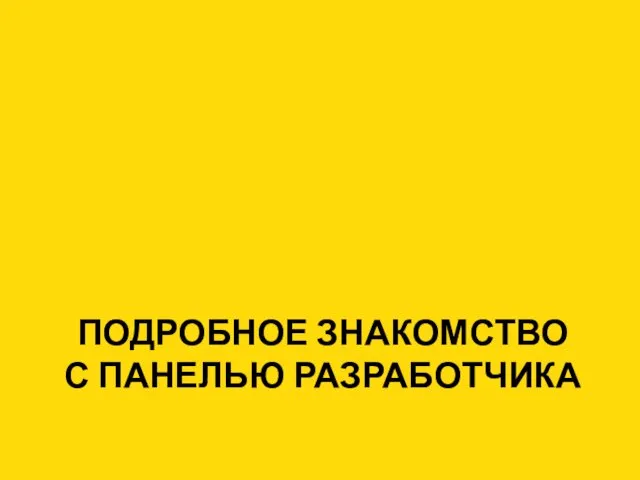 ПОДРОБНОЕ ЗНАКОМСТВО С ПАНЕЛЬЮ РАЗРАБОТЧИКА