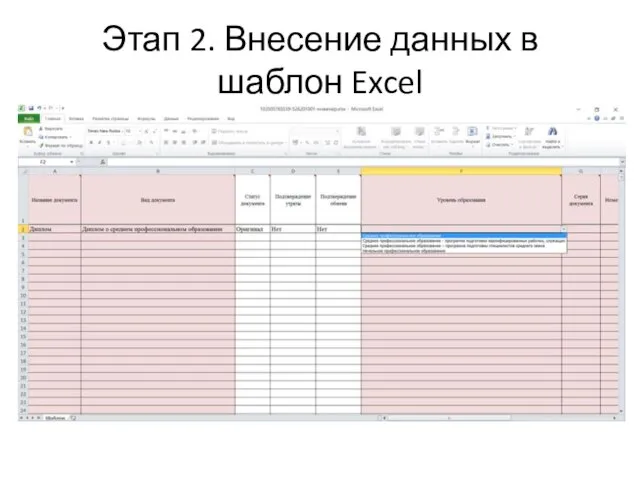 Этап 2. Внесение данных в шаблон Excel