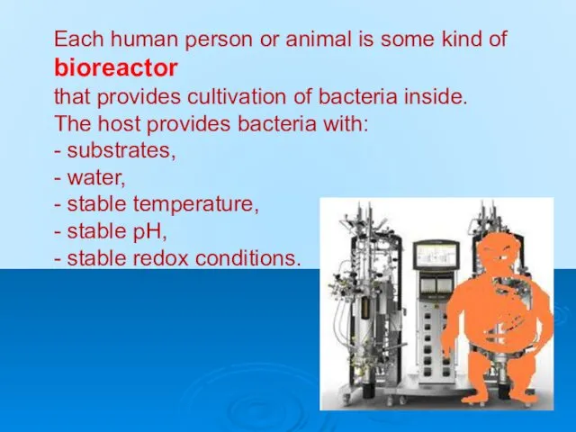 Each human person or animal is some kind of bioreactor