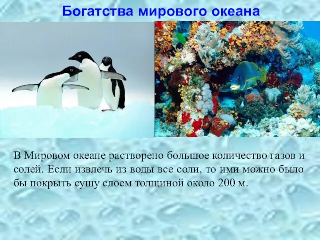 Богатства мирового океана В Мировом океане растворено большое количество газов