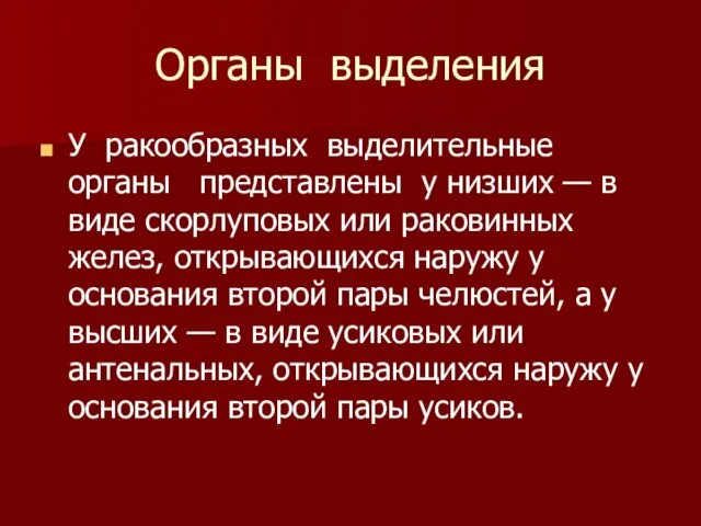 Органы выделения У ракообразных выделительные органы представлены у низших —