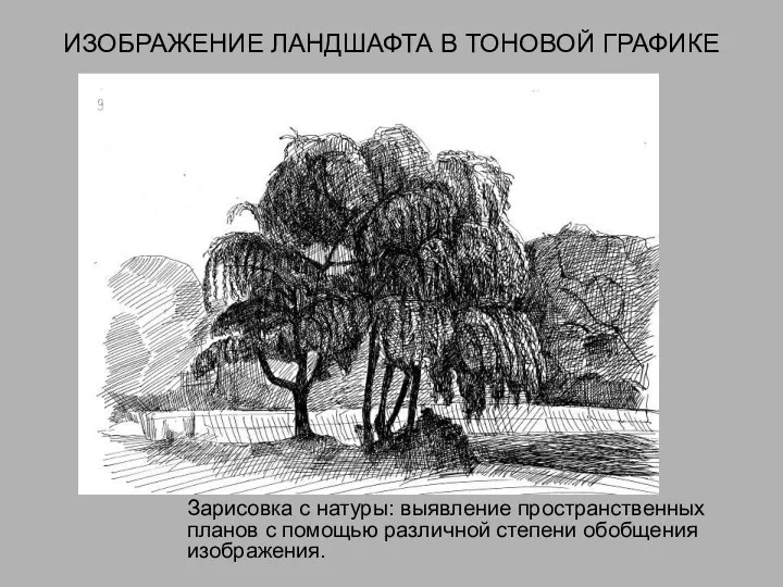 ИЗОБРАЖЕНИЕ ЛАНДШАФТА В ТОНОВОЙ ГРАФИКЕ Зарисовка с натуры: выявление пространственных