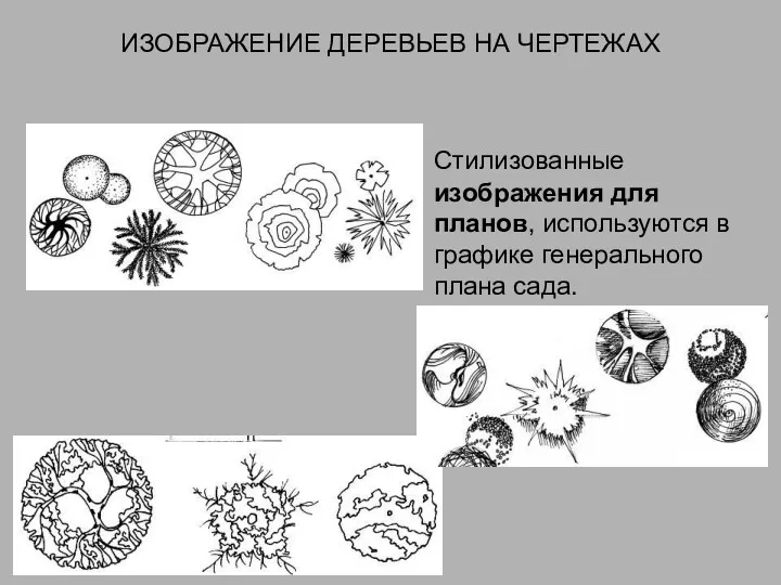 ИЗОБРАЖЕНИЕ ДЕРЕВЬЕВ НА ЧЕРТЕЖАХ Стилизованные изображения для планов, используются в графике генерального плана сада.